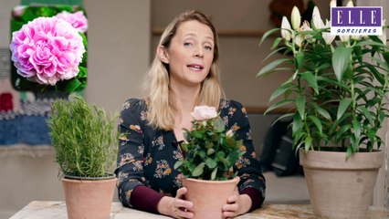 ELLE Sorcières : ce que les plantes nous disent