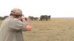 Elephants Charge at Hunters After They Shoot at a Member of Their Herd