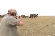 Elephants Charge at Hunters After They Shoot at a Member of Their Herd