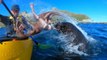 Watch: Bizarre moment a seal slapped a kayaker with an octopus