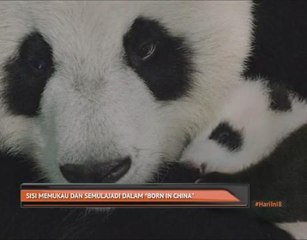 Sisi memukau dan semulajadi dalam 'Born In China'