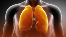 3 foods that can help cleanse your lungs of tar and nicotine