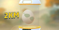 Pokémon Go : liste des Pokémon dans les œufs 2km