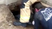 They Heard Strange Noises Coming From This Hole… When They Looked Inside They Couldn’t Believe Their Eyes