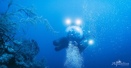 These Researchers Journeyed Into The Deep And Made A Horrifying Discovery