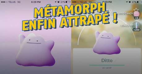 Pokémon GO : de nombreux joueurs rapportent avoir capturé Métamorph