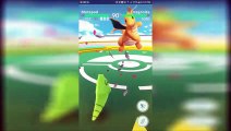 Pokémon Go : un Dracolosse battu par un Chrysacier