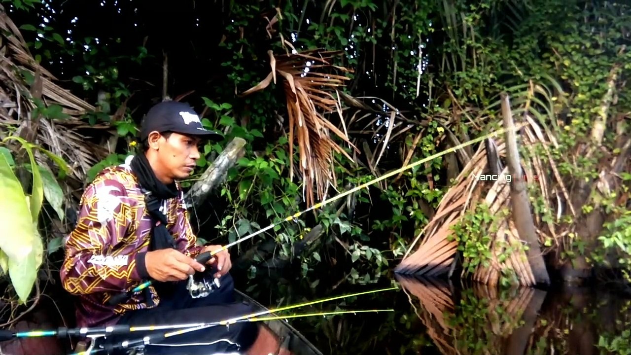 MANCING UDANG GALAH || PART 1