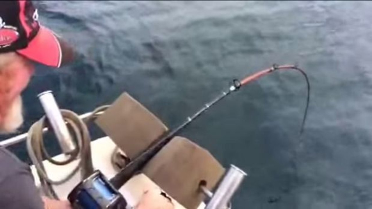 Angler will seinen Fang einholen: Da erlebt er den Schock seines Lebens