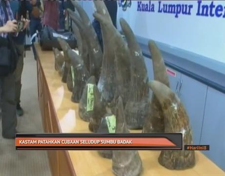 Kastam patahkan cubaan seludup sumbu badak