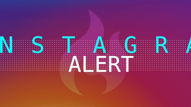 This Cute Little Dog Is Behind The Halo Infinite's Sound Effects