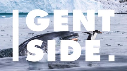 You Won't Believe The Scenes That These Wildlife Photographers Caught on Camera