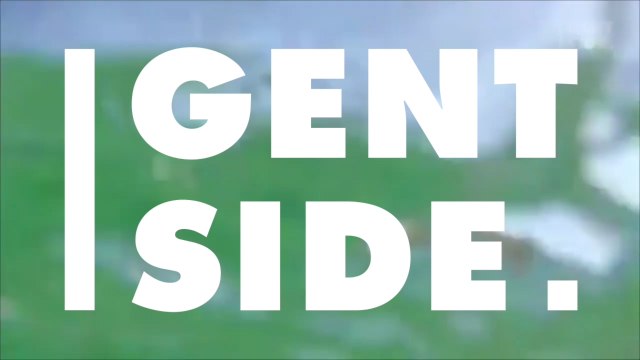 These Irish Beach Goers Came Across A Huge Shark While Swimming In Cape Clear