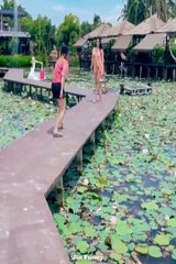 Best Funny Videos  - Funny Compilation Happen Unexpectedly