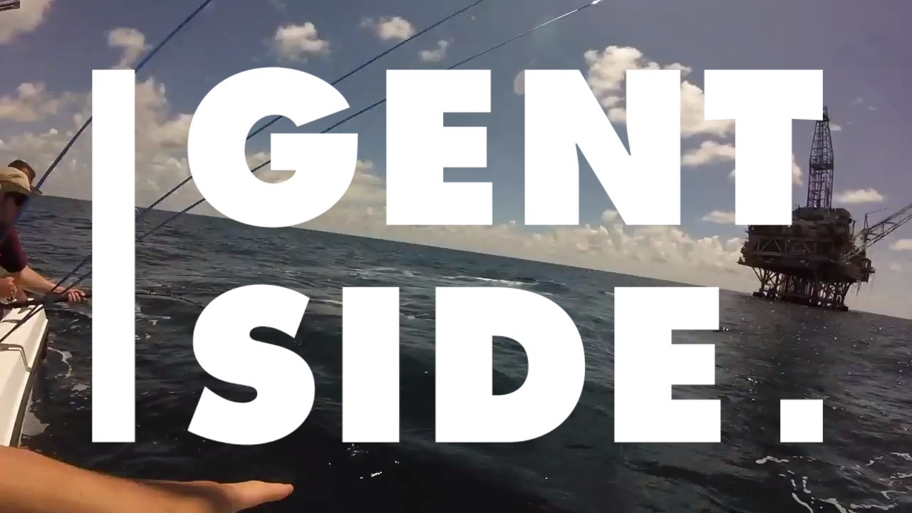 Shark vs shark: A tiger shark tries to take on a hammerhead