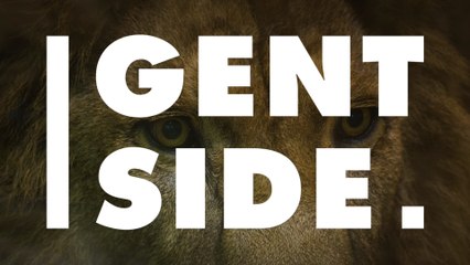 One of the biggest predators in the world has been discovered