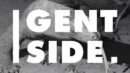 This Is Why Komodo Dragons Never Conquered the World