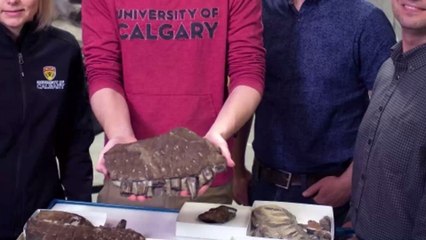 Researchers Have Uncovered A New Species Of Dinosaur Named 'Reaper Of Death'