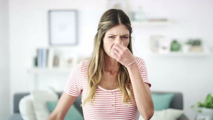 Scented Candles Contain a Pollutant That Is Also Found in Car Exhausts