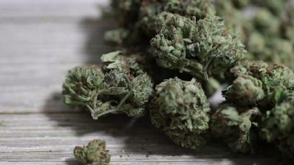 75% of the cannabis sold on the streets is said to contain faecal matter