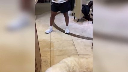 Mike Tyson looks ready to fight again in recent video shared online