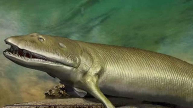 A 375 million-year-old fossil may hold the secrets to our evolution