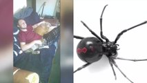 This man was bitten by a black widow in his sleep – with horrific consequences
