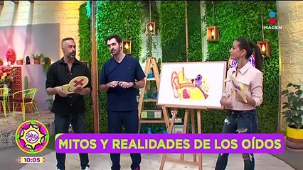 ¿Qué hacer si un insecto entra a tu oído?