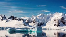 Scientists Find Evidence of a Tropical Forest in Antarctica More Than 90 Million Years Ago