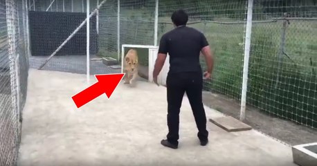 He Saved A Lion Cub's Life... When He Returned Two Years Later She Reacted In A Beautiful Way