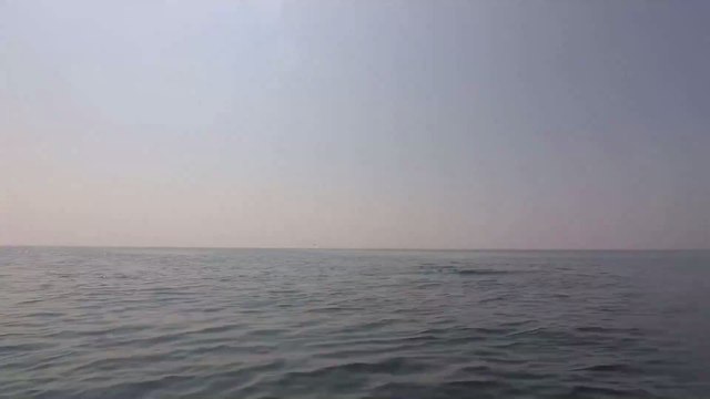 The terrifying moment kayakers were approached by three killer whales