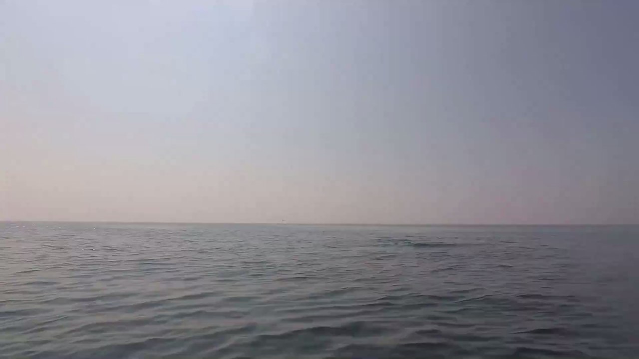 The terrifying moment kayakers were approached by three killer whales