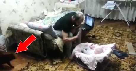 When she saw him attempting to hit a baby, This cat had an incredible reaction