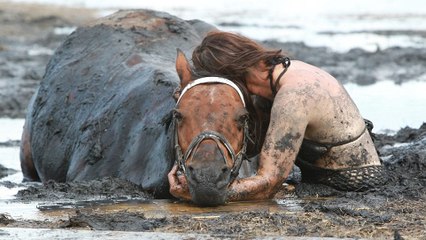 This horse survived a near death experience after sinking in quicksand-like mud