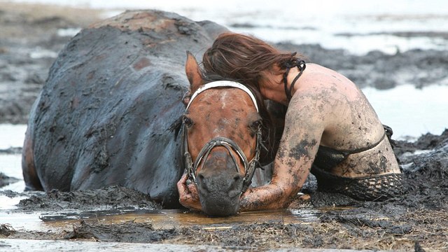 This horse survived a near death experience after sinking in quicksand-like mud