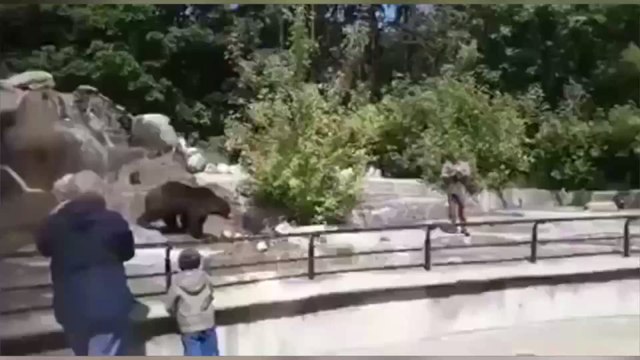 Disturbing footage shows man wrestling a bear after jumping into a zoo enclosure