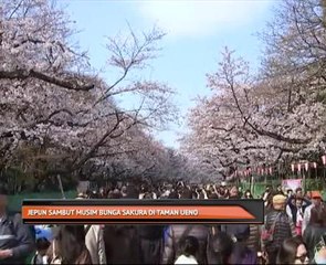 Jepun sambut musim Bunga Sakura di Taman Ueno