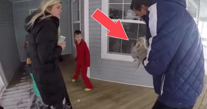 This lifeless kitten was lying frozen in the snow but what happens next is a true miracle