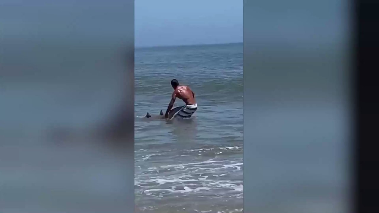 Shocking Footage Shows Man Wrestling a Shark With His Bare Hands for a Photo