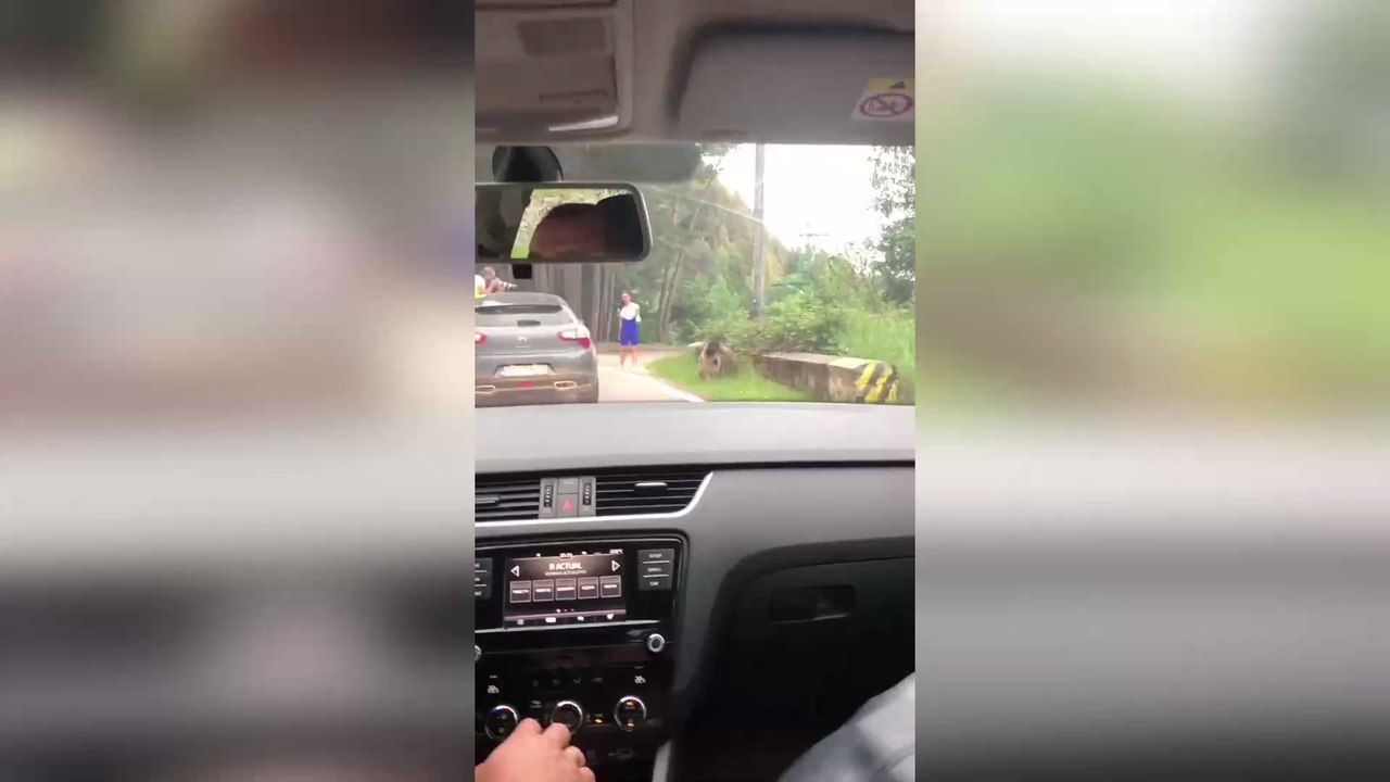 After looking for a photo op, this woman almost got attacked by a bear