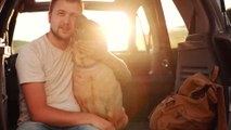 Study shows women are less likely to swipe right on men with a cat in their profile picture