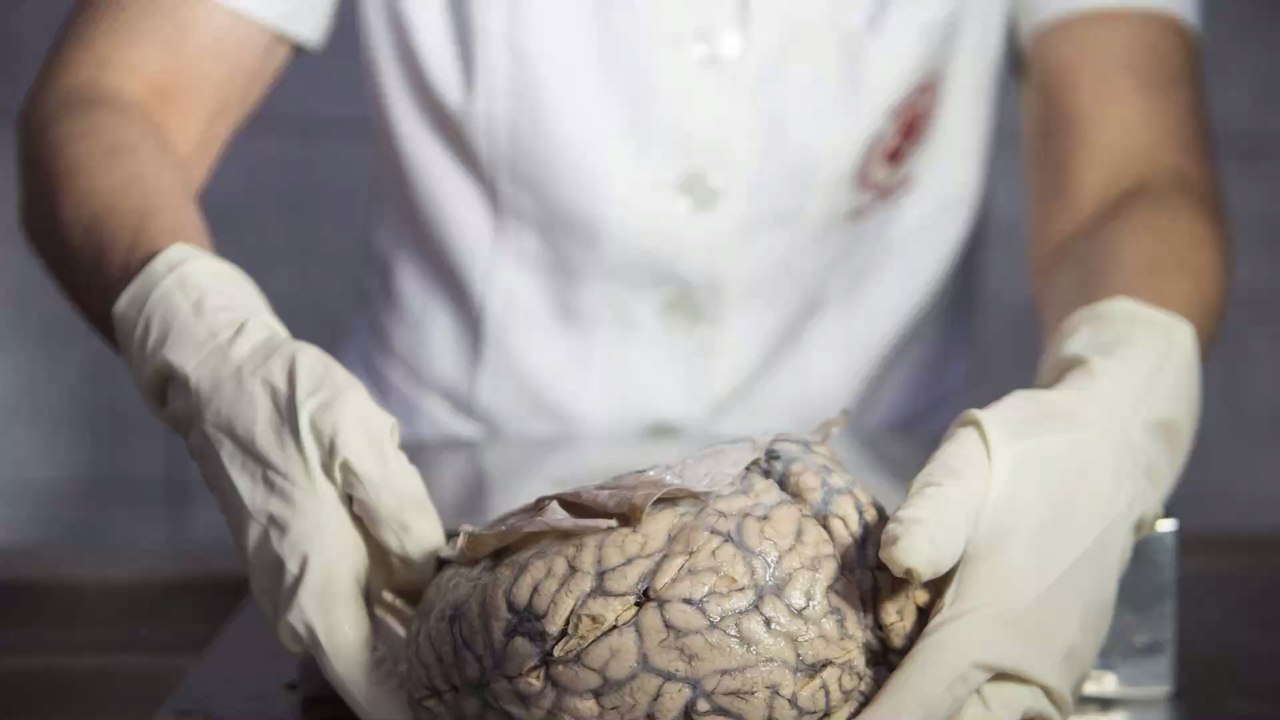 What Happens To Your Body If You Eat A Human Brain?