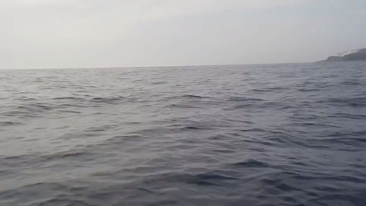 Polluted Oceans: Kayakers Rescue Turtle Tangled in Trash