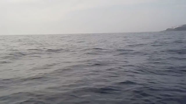 Polluted Oceans: Kayakers Rescue Turtle Tangled in Trash