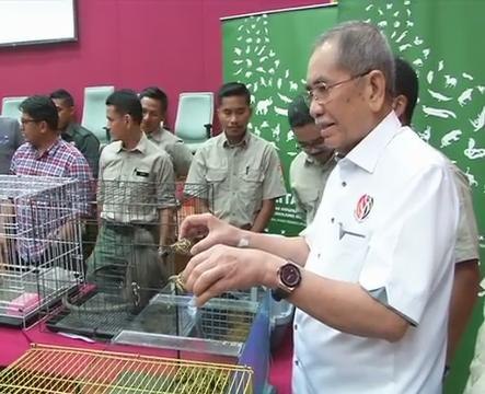 Sindiket jual beli hidupan liar tumpas