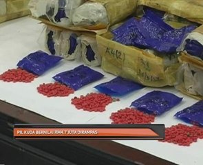 Pil kuda bernilai RM4.7 juta dirampas