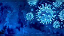 One of the Most Reputable Virologists Explains How the Coronavirus Outbreaks Will Affect the World