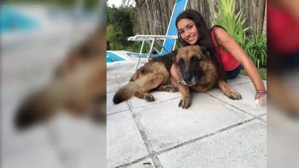 She Poses With a Dog for a Photo and Needs More Than 40 Stitches