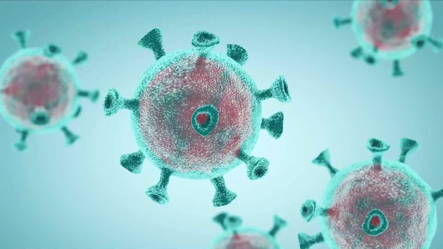 The WHO Believes the Coronavirus Epidemic Is Far From Over