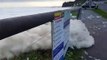 Sea foam at Werri Beach | March 3, 2022 | Illawarra Mercury